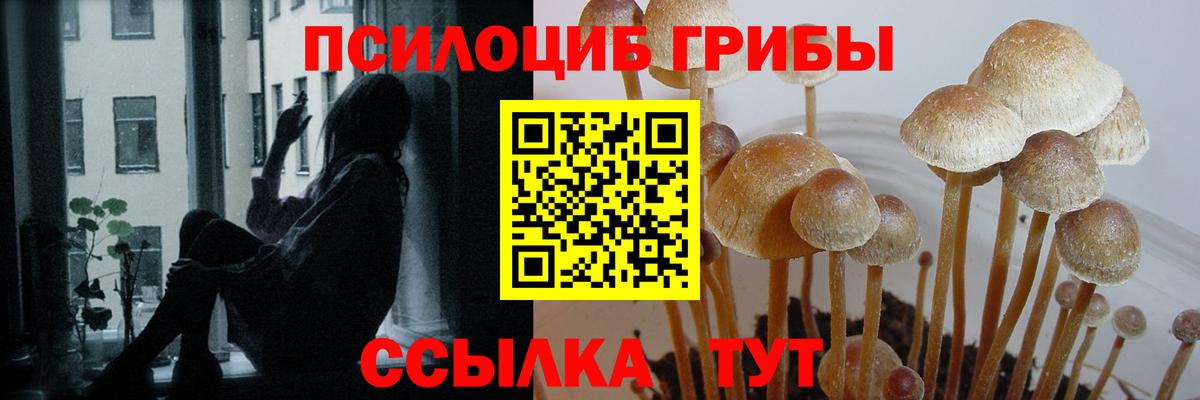 Псилоцибиновые грибы GOLDEN TEACHER Калач-на-Дону
